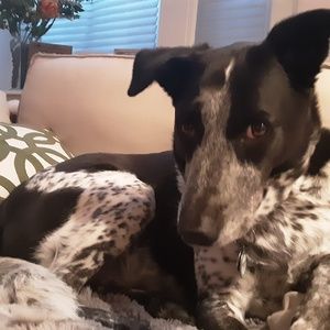 Meet your Posher, Joanna